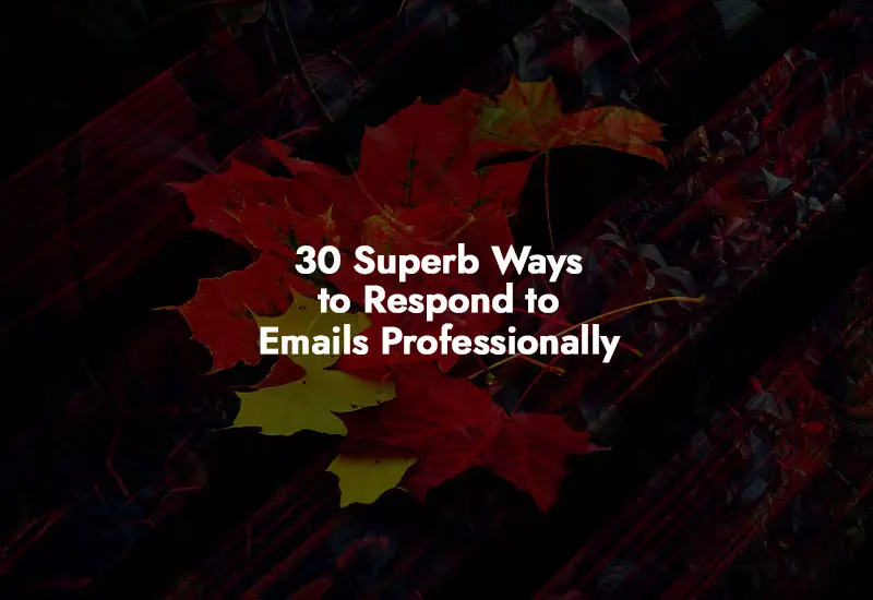 How to respond to Emails Professionally