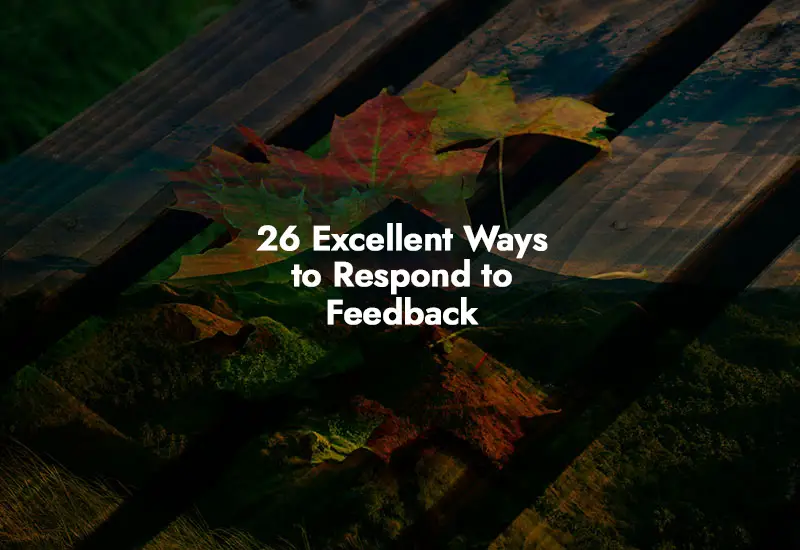 How to respond to Feedback