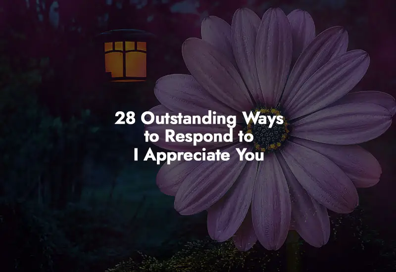 How to respond to I Appreciate You