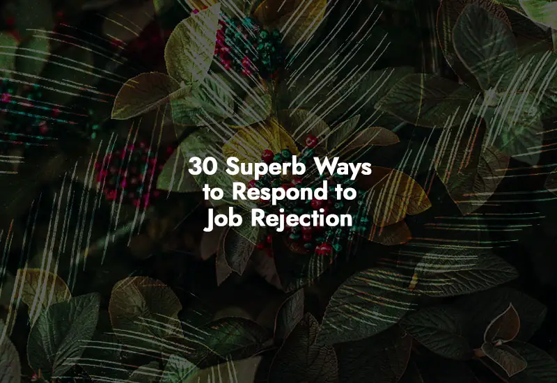How to respond to Job Rejection