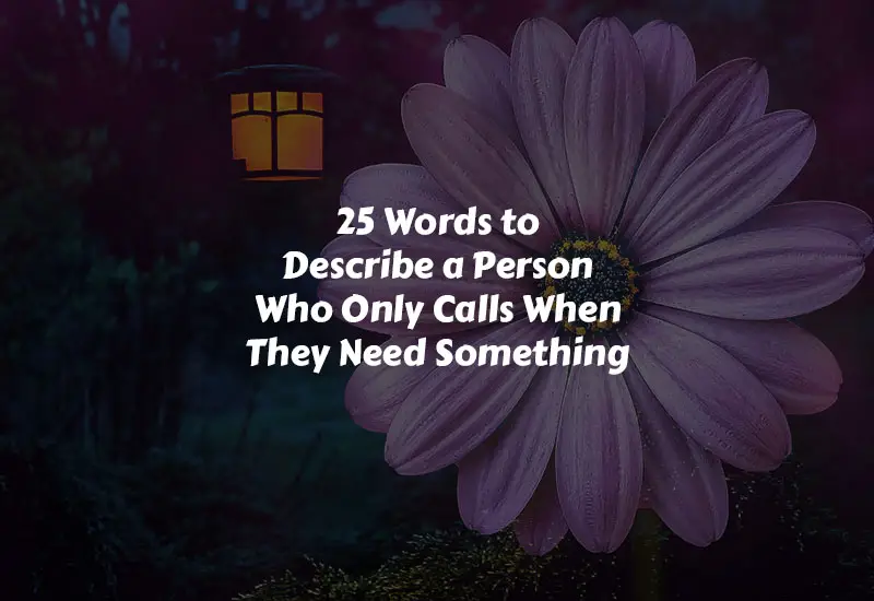 Words to Describe a Person Who Only Calls When They Need Something