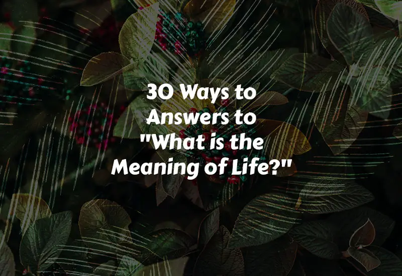 How to Answers to What is the Meaning of Life