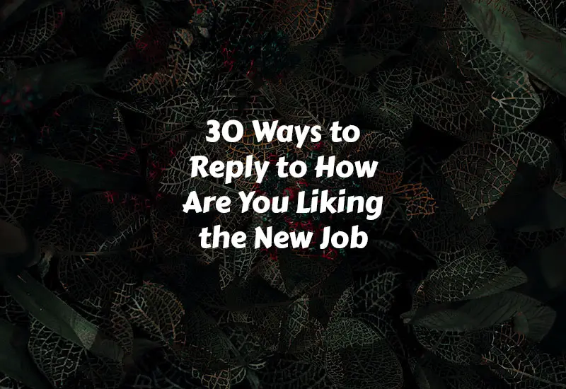 How to Reply to How Are You Liking the New Job