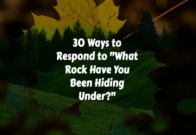 How to Respond to What Rock Have You Been Hiding Under