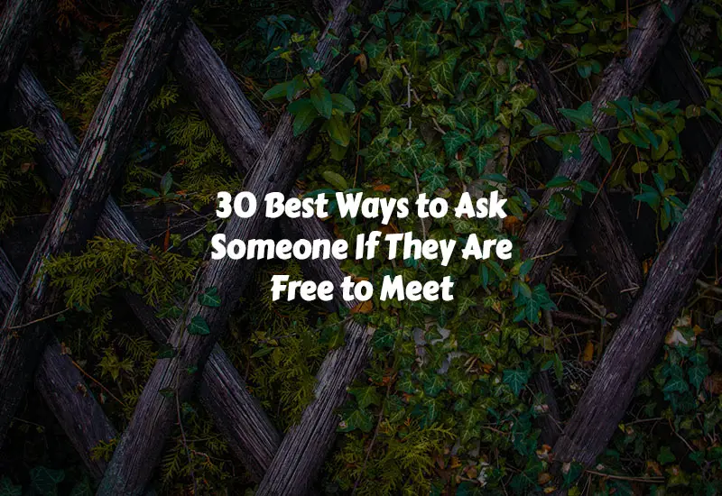 How to Ask Someone If They Are Free to Meet