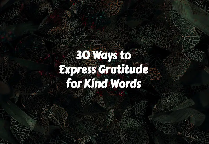 How to Express Gratitude for Kind Words
