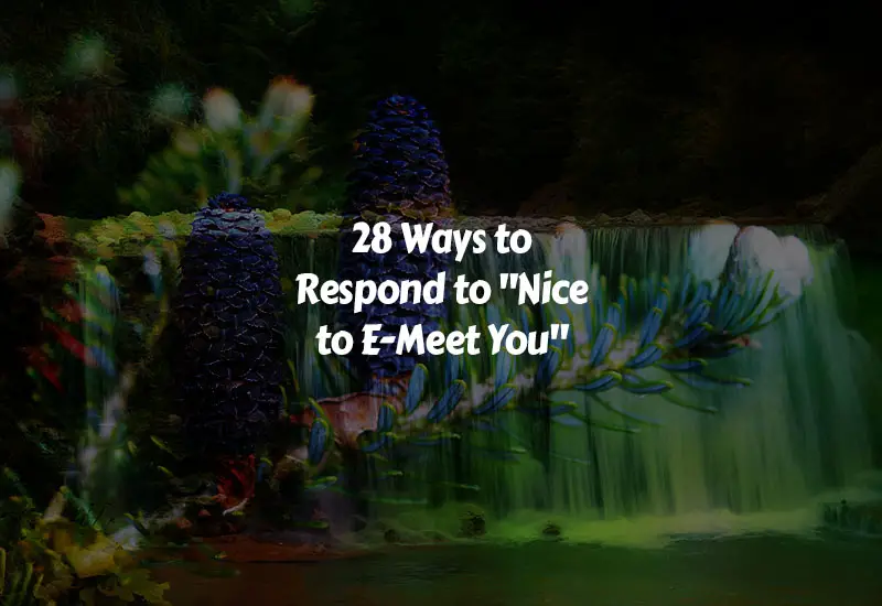How to Respond to Nice to E-Meet You