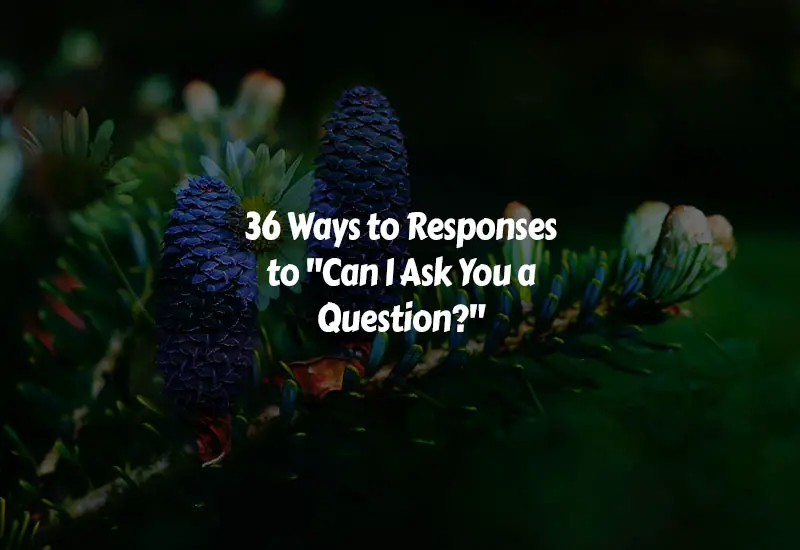 How to Respond to Can I Ask You a Question