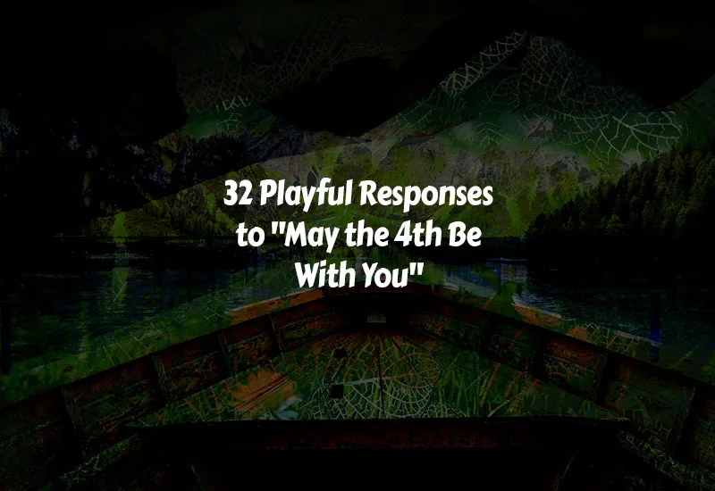 Playful Responses to May the 4th Be With You