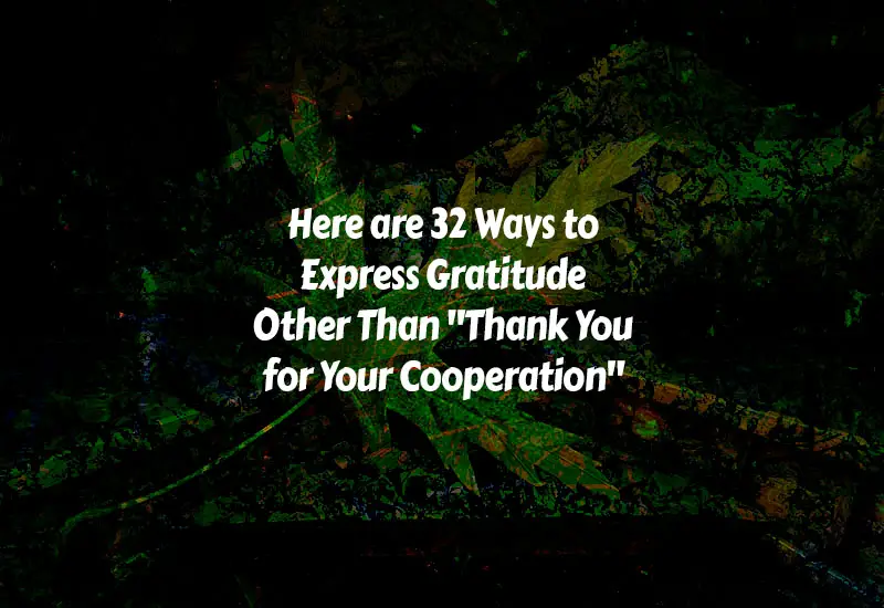 Ways to Say Thank You for Your Cooperation