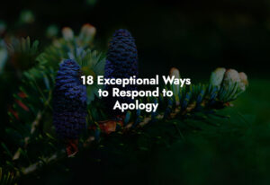 How to respond to Apology