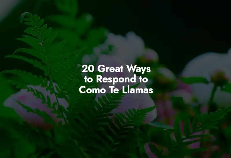 How to respond to Como Te Llamas