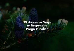 How to respond to Prego In Italian