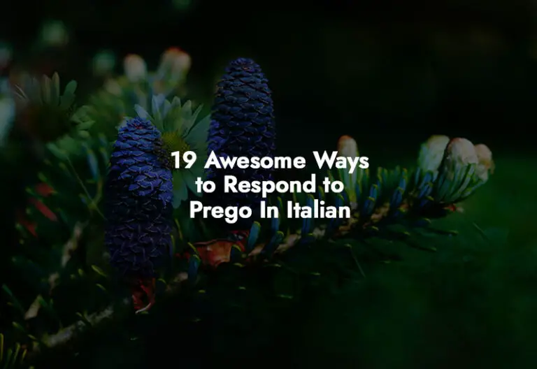 How to respond to Prego In Italian