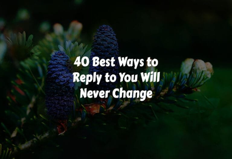 How to Reply to You Will Never Change