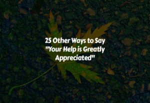 Best Other Ways to Say Your Help is Greatly Appreciated