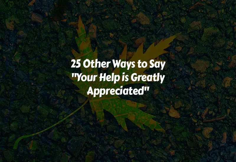 Best Other Ways to Say Your Help is Greatly Appreciated