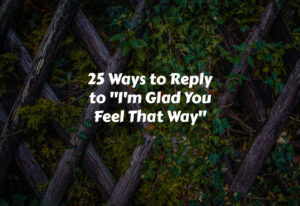 How to Reply to I'm Glad You Feel That Way