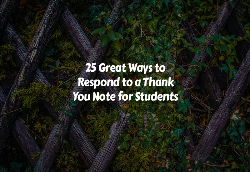 How to Respond to a Thank You Note for Students