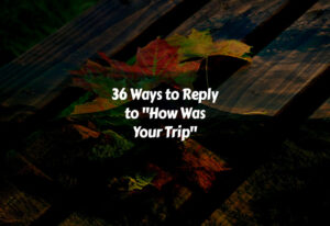 How to Reply to How Was Your Trip