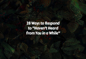 How to Respond to Haven't Heard from You in a While