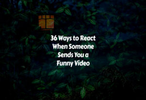 How to Respond When Someone Sends You a Funny Video