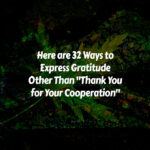 Ways to Say Thank You for Your Cooperation