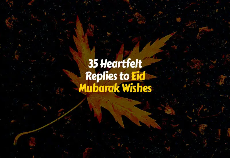 Heartfelt Replies to Eid Mubarak Wishes