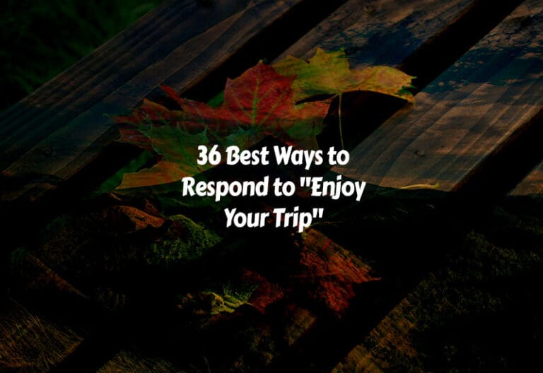 How to Respond to Enjoy Your Trip