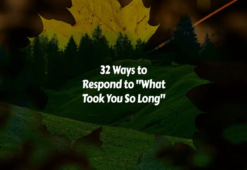 How to Respond to What Took You So Long