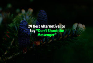 Best Alternatives to Say Don't Shoot the Messenger