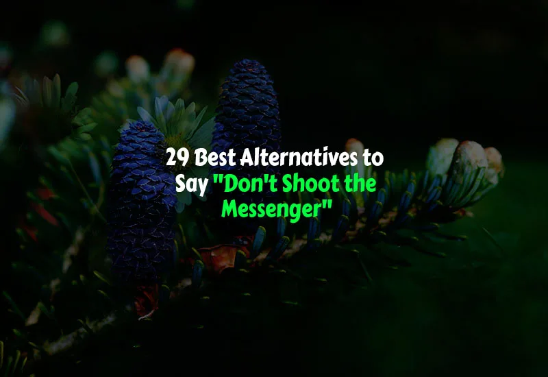29 Another Ways to Say “Don’t Shoot the Messenger”