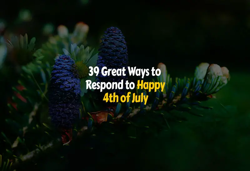 How to Respond to Happy 4th of July