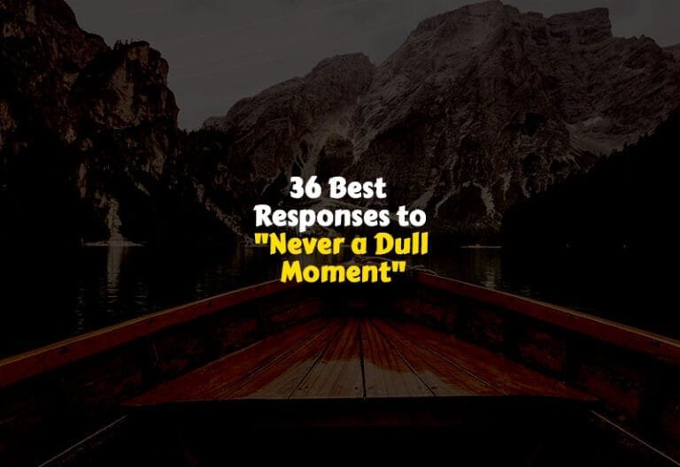 Best Responses to Never a Dull Moment