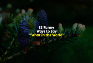 Funny Ways to Say What in the World