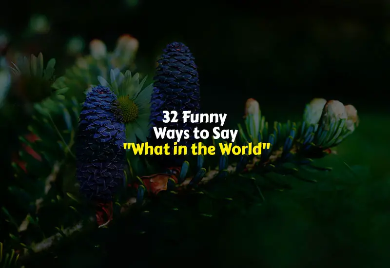 Funny Ways to Say What in the World