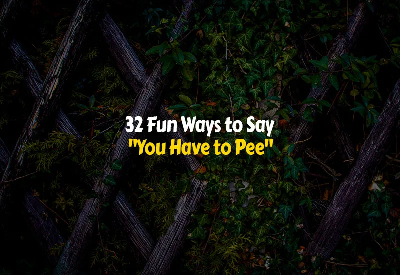 How to Say You Have to Pee