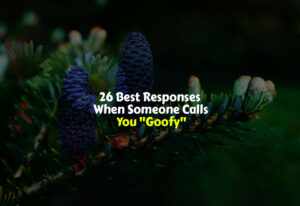 Best Responses When Someone Calls You Goofy