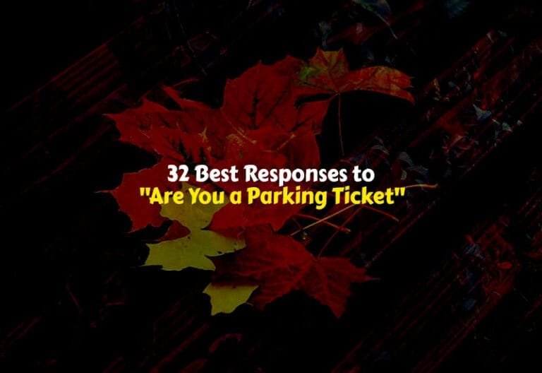Best Responses to Are You a Parking Ticket
