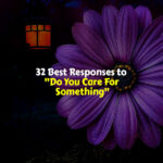 Best Responses to Do You Care For Something