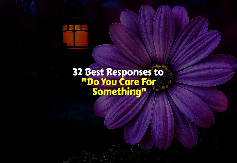 Best Responses to Do You Care For Something