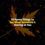 Funny Things to Say When Someone is Staring at You