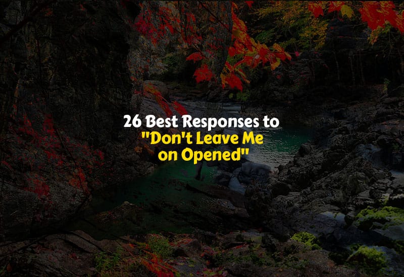 26 Best Responses To Don t Leave Me On Opened 