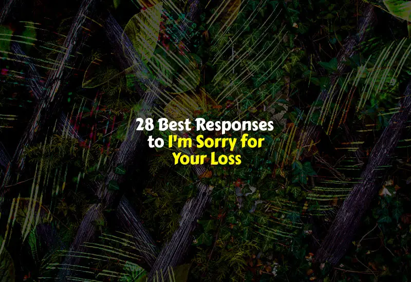 Best Responses to I'm Sorry for Your Loss