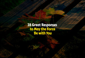 Best Responses to May the Force Be with You