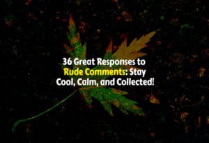 Best Responses to Rude Comments