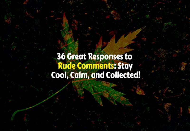 Best Responses to Rude Comments