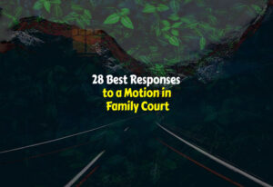 Best Responses to a Motion in Family Court