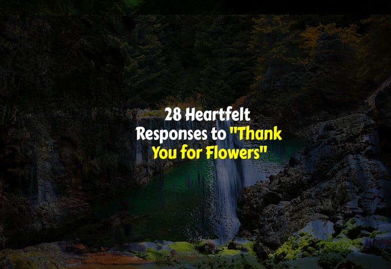 How to respond to Thank You for Flowers