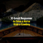 How to respond to save a horse ride a cowboy